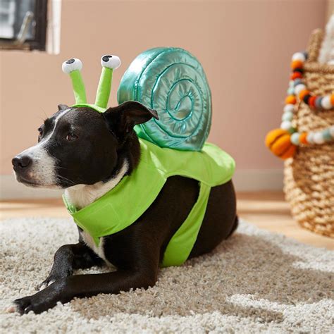 18 of the best dog halloween costumes for 2021 – Artofit