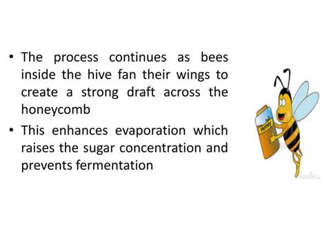 Image result for Basic Honey Processing
