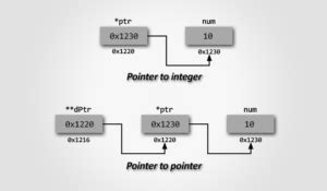 Pointer Computer Programming 的图像结果