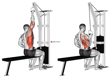 Cable one arm lat pulldown - Home Gym Review