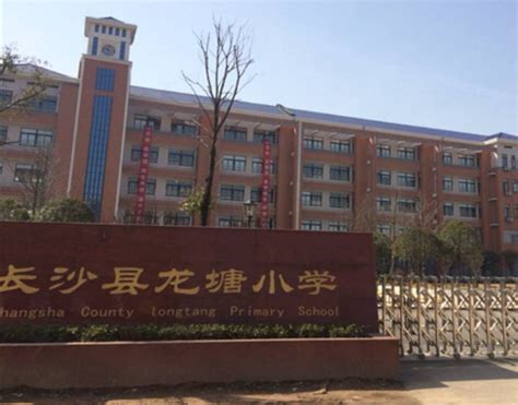 长沙市砂子塘小学举行2022年秋季开学典礼 - 未来之星 - 新湖南