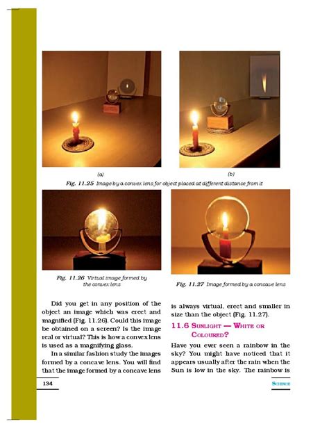 Image result for Jr Tutorials 7th Class Science Chapter 11