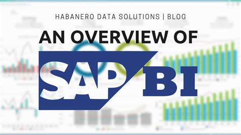 SAP BI Tutorial 的图像结果