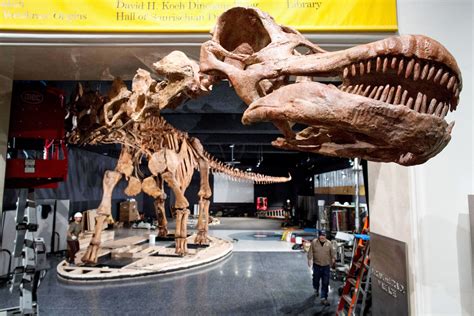 世界最大的恐龙亮相美国自然历史博物馆 - 纽约时报中文网