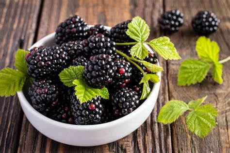 Blackberry Season is Here! - Buckhorn Inn