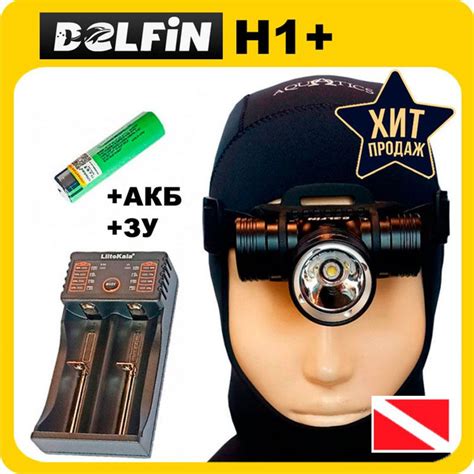 Комплект фонарь Delfin H1 налобный + АКБ и ЗУ, желтый свет (фонари ...