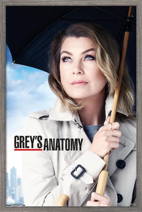 Greys Anatomy Season 9 Poster