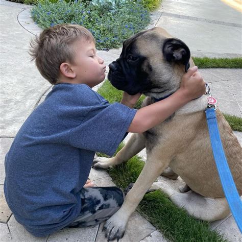 Sean Lowe rehomes family dog after head bite sends son to ER