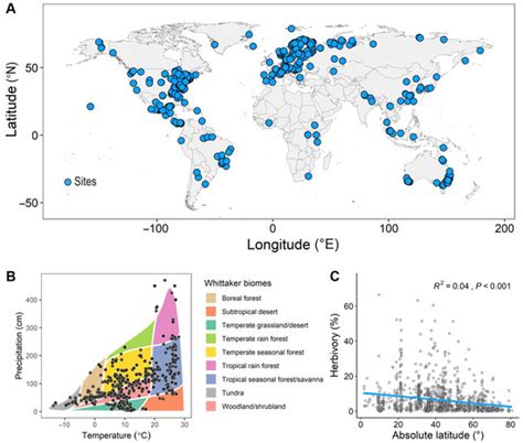 Plant Functional Traits Better Explain the Global Latitudinal Patterns ...