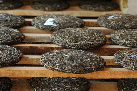 Bing Chay 的图像结果