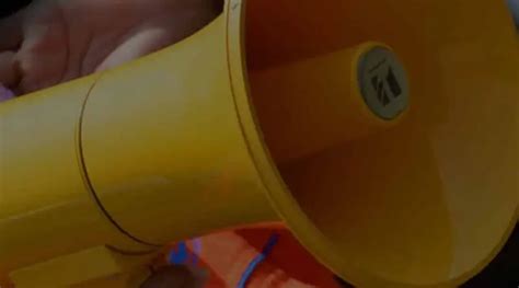 Local App 的图像结果