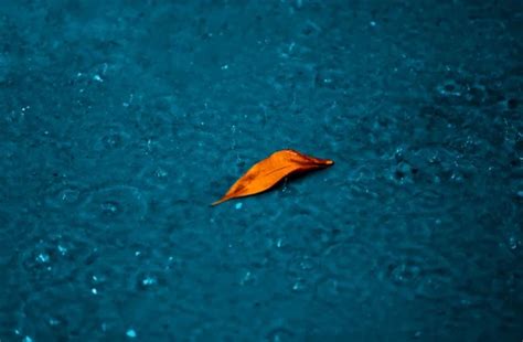 How to become an ICF Certified Coach? - ICF Certification Cost