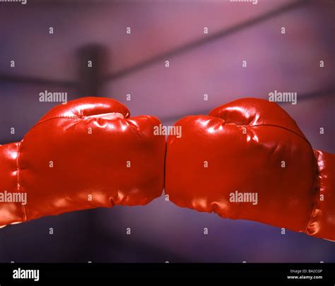 Boxing Stock Images 的图像结果