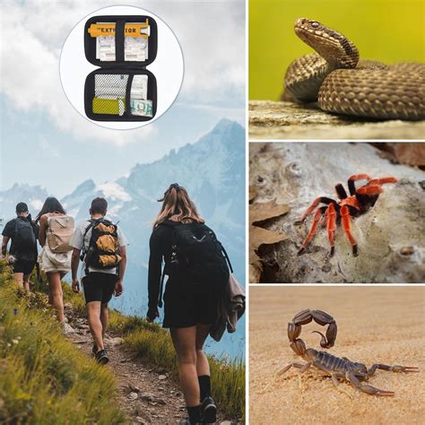 Slairbier Snake Bite Kit for Humans,Rattlesnake Bite Kit,Bee India | Ubuy