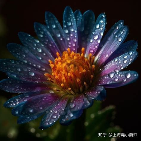 case-mix index病例组合指数CMI，是什么？有什么用？医院考核指标之一 - 知乎