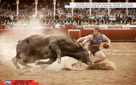 Bull Fighting Wallpaper - WallpaperSafari