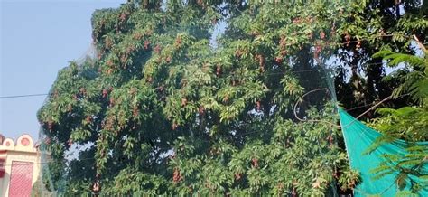 Image result for Java ORM MVC
