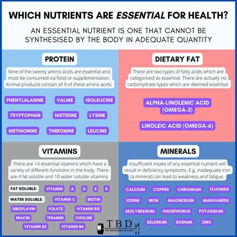 The Essential Nutrients Required For Body Health In 2026