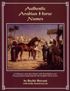 Authentic Arabian Horse Names vol I: A collection of Arabic Names with ...