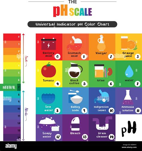The pH scale Universal Indicator pH Color Chart diagram acidic Stock ...