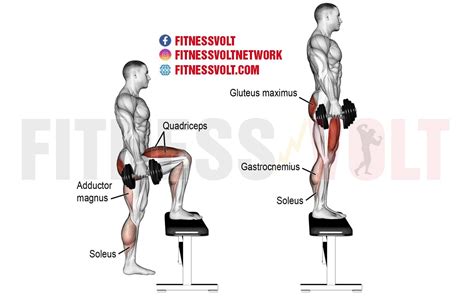 Image result for Step UPS Exercise