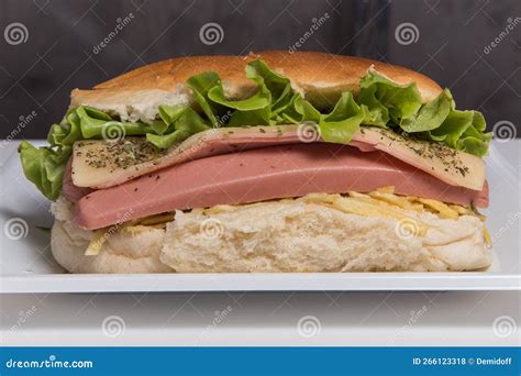 Big hot dog stock photo. Image of leaf, bread, party - 266123318