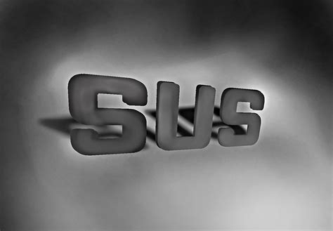 Plot Sus 的图像结果