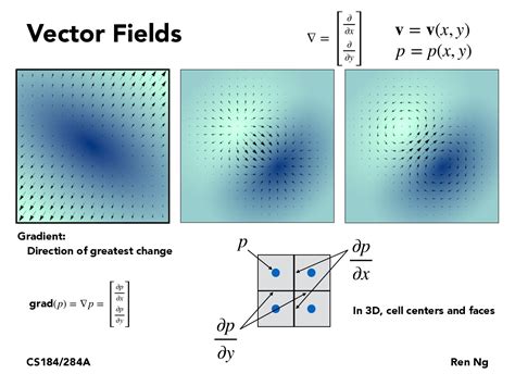 Simulation in Computer Graphics 的图像结果