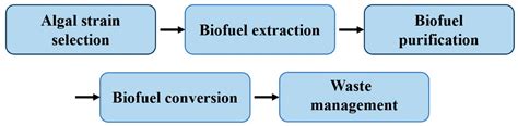 Algae Biofuels Hold Promise in China: Supercritical CO2 Extraction ...