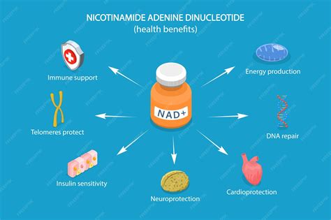 Premium Vector | D isometric flat vector illustration of health ...