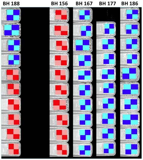 Applying Knowledge-Based and Data-Driven Methods to Improve Ore Grade ...