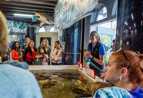 24 Of The Best Free Things To Do In California With Kids - The Family ...