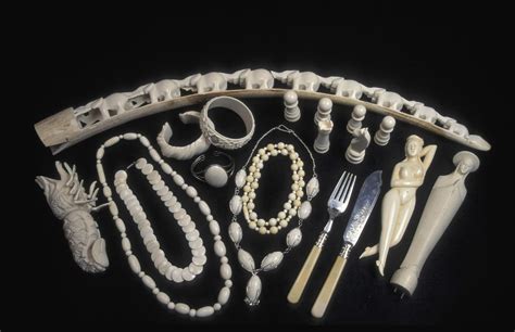 Example of Old Trade 的图像结果