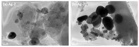 Cytotoxic Potential of Bio-Silica Conjugate with Different Sizes of ...