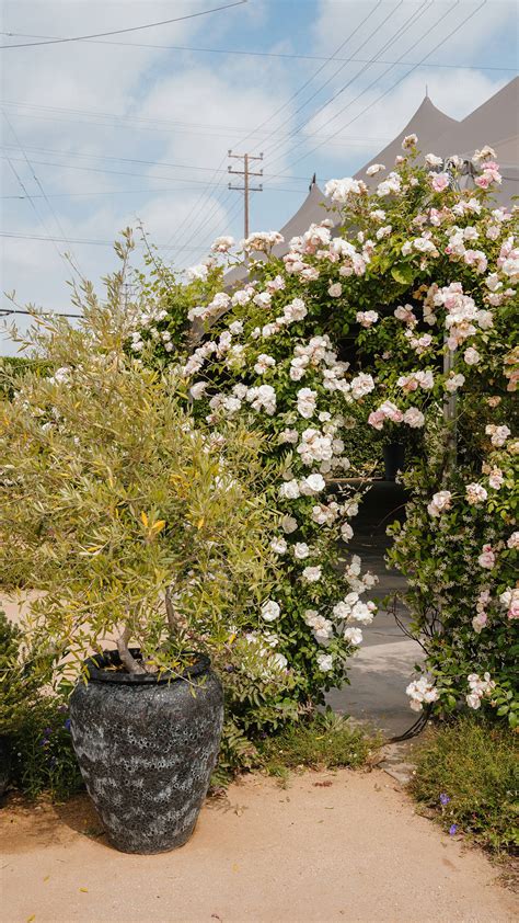 Events | DTLA Sapces – Rolling Greens