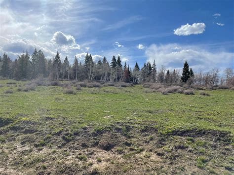 Columbine Campground | Nucla, CO