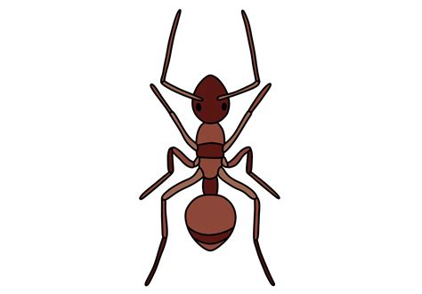 How to Draw an Ant | Design School