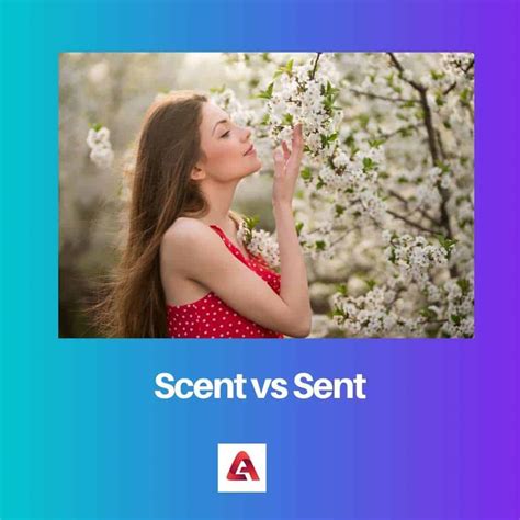 Scent vs Sent: Difference and Comparison