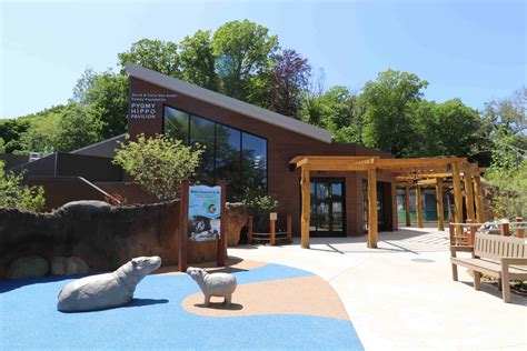 Pygmy Hippopotamus Habitat