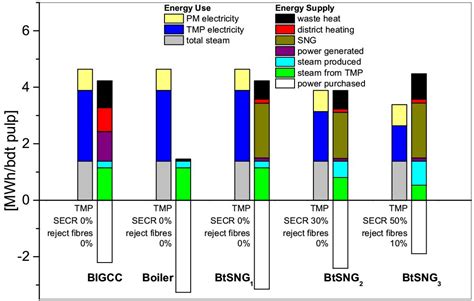 Economic Evaluation on Bio-Synthetic Natural Gas Production Integrated ...