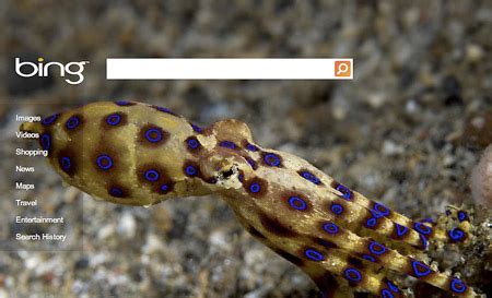 Bing Search Suggestions 的图像结果