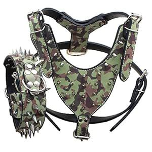 Buy Haoyueer Leather Sharp Spiked Studded Medium & Large Dog Collars ...