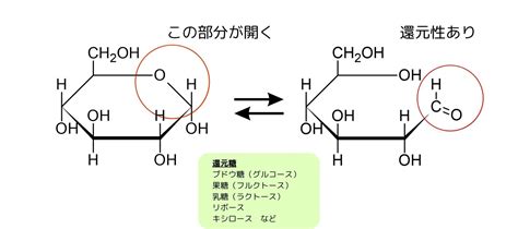 Image result for Example of New Program