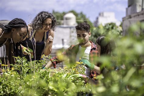 Climate | Stanford Doerr School of Sustainability