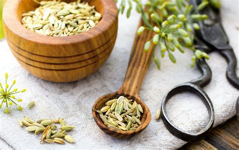 How To Crush Fennel Seeds | Storables