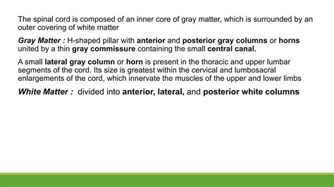 ANATOMY OF VERTEBRAL COLUMN AND SPINAL CORD.pptx