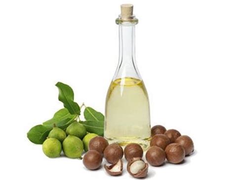 5 Ways Macadamia Nut Oil is Beneficial for Your Skin - lifeberrys.com