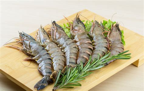 Aqua Geno Exim | India's best supplier of quality quick frozen seafood ...