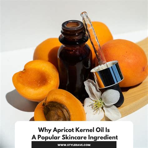 Why Apricot Kernel Oil Is A Popular Skincare Ingredient | Apricot ...