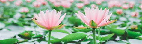 Taiwan Weather in May 2026, Temperature, Festivals, Things to do